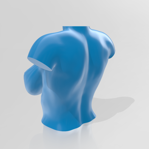 Bust - STL 3D Printer  3D Print 539250