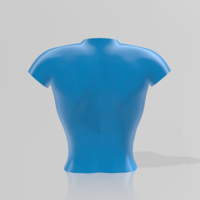 Bust - STL 3D Printer  - Thumbnail 6