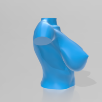 Bust - STL 3D Printer  - Thumbnail 8