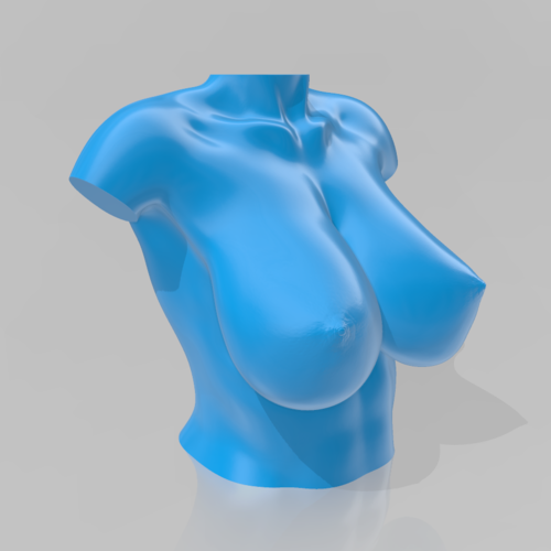 Bust - STL 3D Printer  3D Print 539254