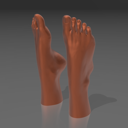 Feet on the water 03 - STL 3D  3D Print 539256