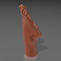 Feet on the water 03 - STL 3D  - Thumbnail 3