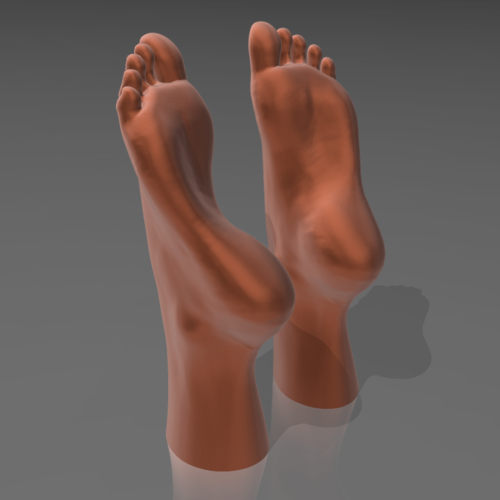 Feet on the water 03 - STL 3D  3D Print 539258