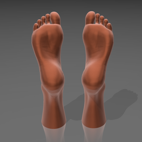 Feet on the water 03 - STL 3D  3D Print 539259