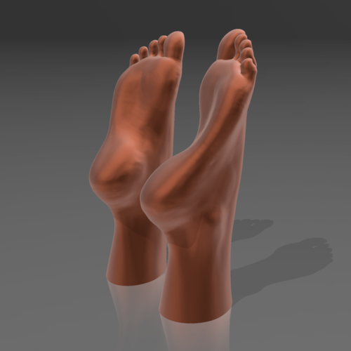 Feet on the water 03 - STL 3D  3D Print 539260