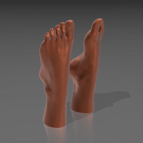 Feet on the water 03 - STL 3D  3D Print 539262