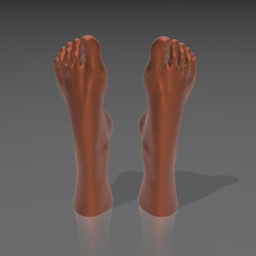 Feet on the water 03 - STL 3D  3D Print 539263