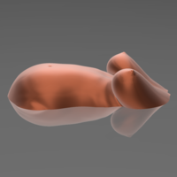 A pregnant woman on the water - STL 3D Printer  - Thumbnail 6