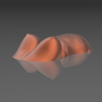 A pregnant woman on the water - STL 3D Printer  - Thumbnail 9