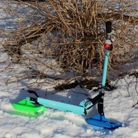 Small Kickbike Ski 3D Printing 53965