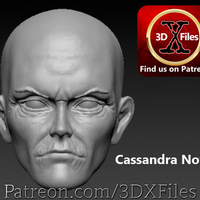3D model (stl) Male Head Sculpt 16