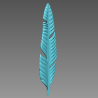 Feather - Thumbnail 4