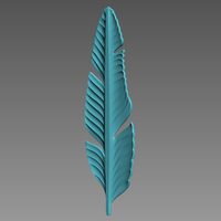 Feather - Thumbnail 6