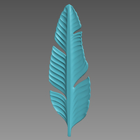 Feather - Thumbnail 7