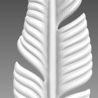 Feather - Thumbnail 10