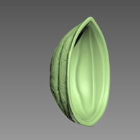 Nut Shell - Thumbnail 6