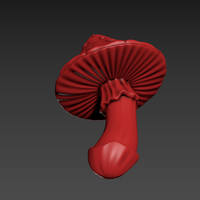 Fly Agaric - Thumbnail 6