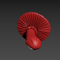 Fly Agaric - Thumbnail 8