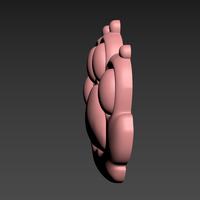 Cat Paw - Thumbnail 4