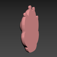 Cat Paw - Thumbnail 5