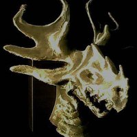 Forest Dragon Wall-Mount Head - Thumbnail 4