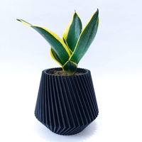 Desktop Planter - Thumbnail 1