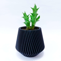 Desktop Planter - Thumbnail 3
