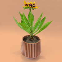 Small Planter 3D Printing 541712