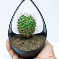 Hangable Planter - Thumbnail 1