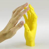 Small Jointed Hand 3D Printing 54190