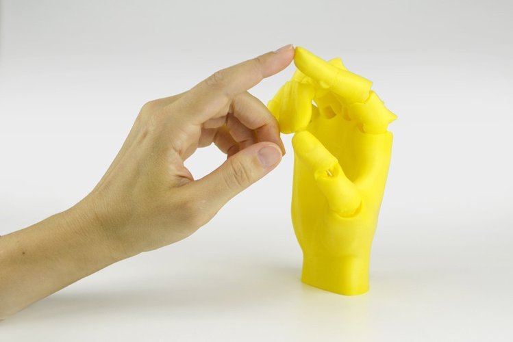Jointed Hand 3D Print 54194