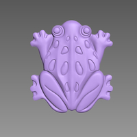 FROG AMPHIBIAN - Thumbnail 1