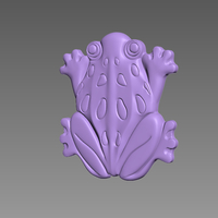 FROG AMPHIBIAN - Thumbnail 2