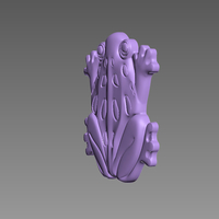 FROG AMPHIBIAN - Thumbnail 3