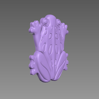 FROG AMPHIBIAN - Thumbnail 9