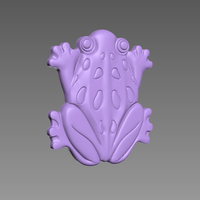 FROG AMPHIBIAN - Thumbnail 10