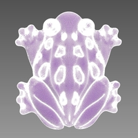 FROG AMPHIBIAN - Thumbnail 14