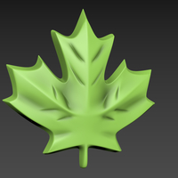 Maple Leaf - Thumbnail 2