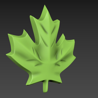 Maple Leaf - Thumbnail 3