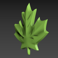 Maple Leaf - Thumbnail 9