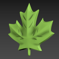 Maple Leaf - Thumbnail 10
