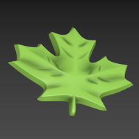 Maple Leaf - Thumbnail 11