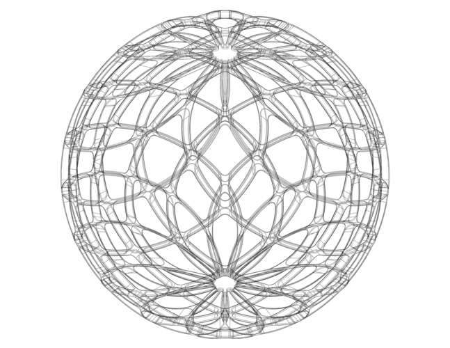 Wireframe Shape Geo Complex Twisted Sphere 3D Print 543698