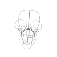 3D Art Surface Little Snail - Thumbnail 7