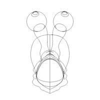 3D Art Surface Little Snail - Thumbnail 9