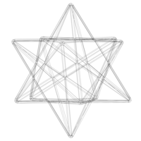 Wireframe Shape Small Stellated Dodecahedron - Thumbnail 9