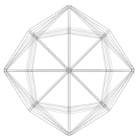 Wireframe Shape Disdyakis Dodecahedron - Thumbnail 9