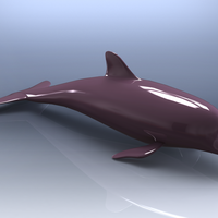 3D Art Surface Pink Dolphin - Thumbnail 1