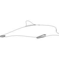 3D Art Surface Pink Dolphin - Thumbnail 5