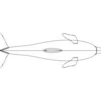 3D Art Surface Pink Dolphin - Thumbnail 7